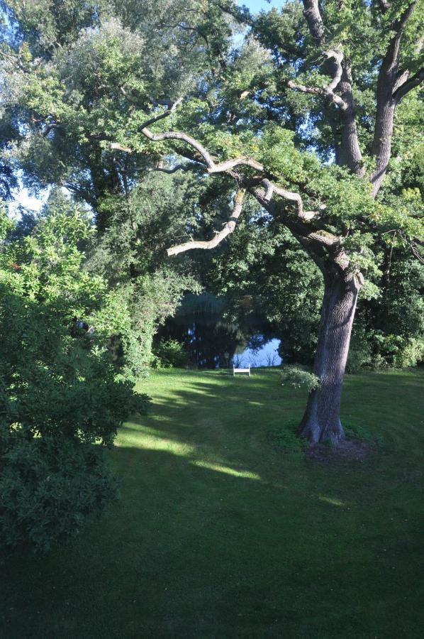 Gartenzimmer Im Schloss Neuhausen Neuhausen  Extérieur photo