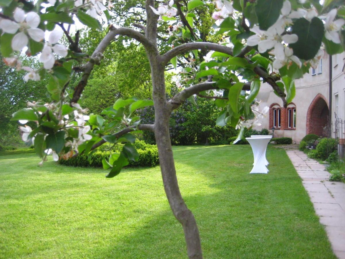 Gartenzimmer Im Schloss Neuhausen Neuhausen  Extérieur photo