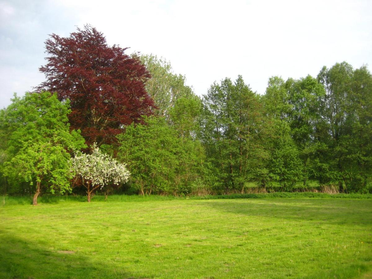 Gartenzimmer Im Schloss Neuhausen Neuhausen  Extérieur photo