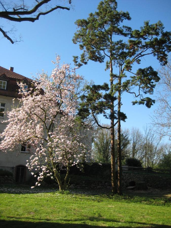 Gartenzimmer Im Schloss Neuhausen Neuhausen  Extérieur photo